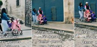 Como si fueran sus hijos, mujeres pasean a perritos en coches