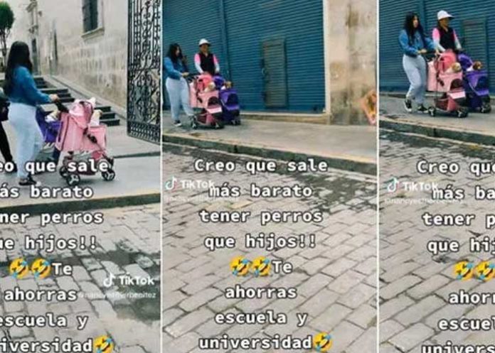 Como si fueran sus hijos, mujeres pasean a perritos en coches