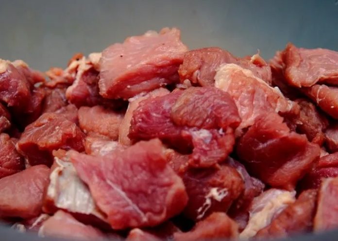 Foto: Sectores económicos siguen mostrando tendencia de crecimiento/ TN8