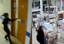 Video: Enfermeras dan sus vidas por cuidar a bebés en el terremoto de Turquía Video: Enfermeras dan sus vidas por cuidar a bebés en el terremoto de Turquía