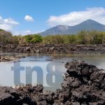 MEFCCA Inaugura ampliación de estanques de tilapias en gran escala en Nandaime MEFCCA Inaugura ampliación de estanques de tilapias en gran escala en Nandaime