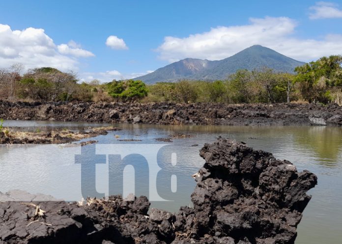 MEFCCA Inaugura ampliación de estanques de tilapias en gran escala en Nandaime