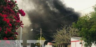 Voraz incendio reduce a cenizas una humilde vivienda en Somotillo, Chinandega