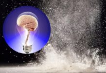 El grave daño que ocasiona la cocaína al cerebro El grave daño que ocasiona la cocaína al cerebro