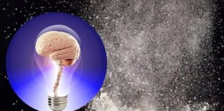 El grave daño que ocasiona la cocaína al cerebro
