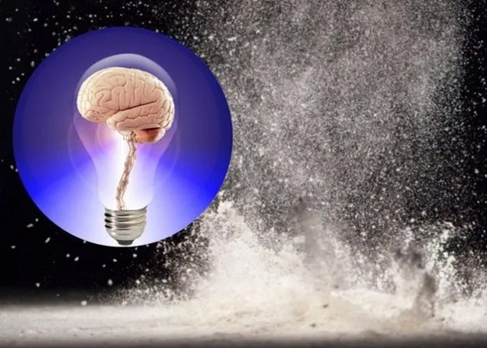 El grave daño que ocasiona la cocaína al cerebro