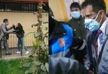 Hijos irrumpen en la boda de su padre por no pasarles la pensión