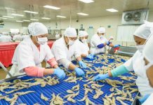 Foto: Amplio gusto económico de camaronicultura en la empresa Sahlman Seafoods / Cortesía