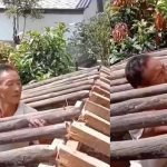¡Inteligente! Terminó de construir la casa, pero se quedó trabado en el techo ¡Inteligente! Terminó de construir la casa, pero se quedó trabado en el techo