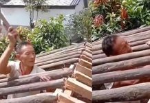 ¡Inteligente! Terminó de construir la casa, pero se quedó trabado en el techo ¡Inteligente! Terminó de construir la casa, pero se quedó trabado en el techo