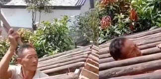 ¡Inteligente! Terminó de construir la casa, pero se quedó trabado en el techo