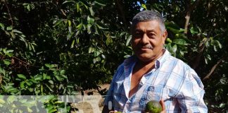 Foto: Pequeño productor protagonista del MEFCCA sobresale en el municipio de Diriomo / TN8