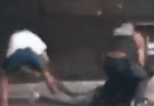 Ladrón roba a su “colega” mientras este estaba siendo detenido por la policía