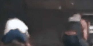 Ladrón roba a su “colega” mientras este estaba siendo detenido por la policía