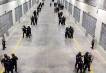 El primer grupo de 2.000 presos fue trasladado a un megacárcel en El Salvador Foto: El primer grupo de 2.000 presos fue trasladado a un megacárcel en El Salvador / Cortesía