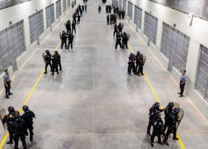 Foto: El primer grupo de 2.000 presos fue trasladado a un megacárcel en El Salvador / Cortesía
