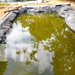 Foto: MEFCCA promueve construcción de estanques de cultivo de tilapias en Diriomo / TN8