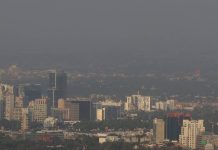 México adopta primer decreto de emergencia ambiental a partir de 2023 Foto: México adopta primer decreto de emergencia ambiental a partir de 2023/Cortesía