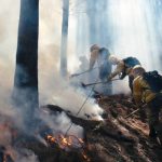 Autoridades de Chile comunican que disminuye la cantidad de incendios Foto: Autoridades de Chile comunican que disminuye la cantidad de incendios / Cortesía