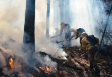 Autoridades de Chile comunican que disminuye la cantidad de incendios Foto: Autoridades de Chile comunican que disminuye la cantidad de incendios / Cortesía