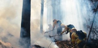 Foto: Autoridades de Chile comunican que disminuye la cantidad de incendios / Cortesía