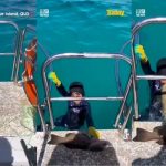 En video quedó captado el momento donde un tiburón atacó a un niño En video quedó captado el momento donde un tiburón atacó a un niño