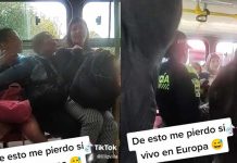 ¿Nacieron sentadas? Mujeres terminan en «bochinche» por un asiento en el bus Mujeres terminan en pleito por un asiento en el transporte público