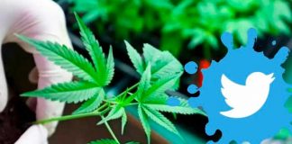 Twitter "la primera plataforma en permitir anuncios de marihuana"