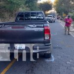 Animales en la vía continúan siendo un peligro en las carreteras de Nueva Segovia Foto: Animales en la vía continúan siendo un peligro en las carreteras de Nueva Segovia / TN8