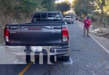 Animales en la vía continúan siendo un peligro en las carreteras de Nueva Segovia Foto: Animales en la vía continúan siendo un peligro en las carreteras de Nueva Segovia / TN8