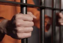 Capturan a joven de 18 por explotación sexual y pornografía infantil en España Detienen a sospechoso de pornografía infantil "en el metaverso" en España