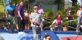 Foto: Jornada de salud animal "Pasarela con Animalitos", en Managua / TN8