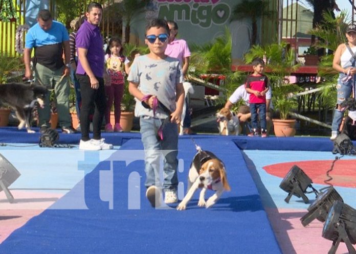 Foto: Jornada de salud animal