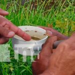 MINSA en vigilancia epidemiológica contra la malaria en Nueva Segovia