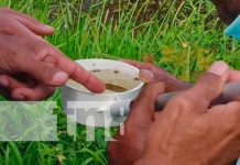 MINSA en vigilancia epidemiológica contra la Malaria en Nueva Segovia MINSA en vigilancia epidemiológica contra la malaria en Nueva Segovia