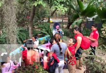 Familias disfrutan de la recreación sana en el Zoológico Thomas Belt, en Juigalpa Foto: Familias disfrutan de la recreación sana en el Zoológico Thomas Belt, en Juigalpa / TN8