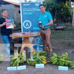 Exposición de alimentos hechos a base de cascara de plátano en la Isla de Ometepe Exposición de alimentos hechos a base de cáscara de plátano en la Isla de Ometepe