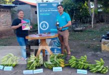 Exposición de alimentos hechos a base de cascara de plátano en la Isla de Ometepe Exposición de alimentos hechos a base de cáscara de plátano en la Isla de Ometepe