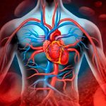 Descubren microplásticos en vasos sanguíneos humanos