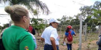 Realizan concurso nacional de Universidades verdes
