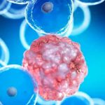 ¡Al fin! Expertos descubren por qué fracasan algunos compuestos antitumorales Descubren por qué fracasan compuestos antitumorales