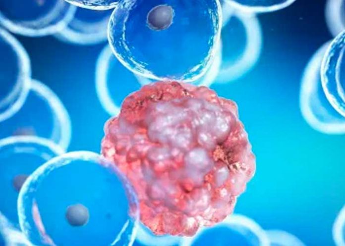 Descubren por qué fracasan compuestos antitumorales