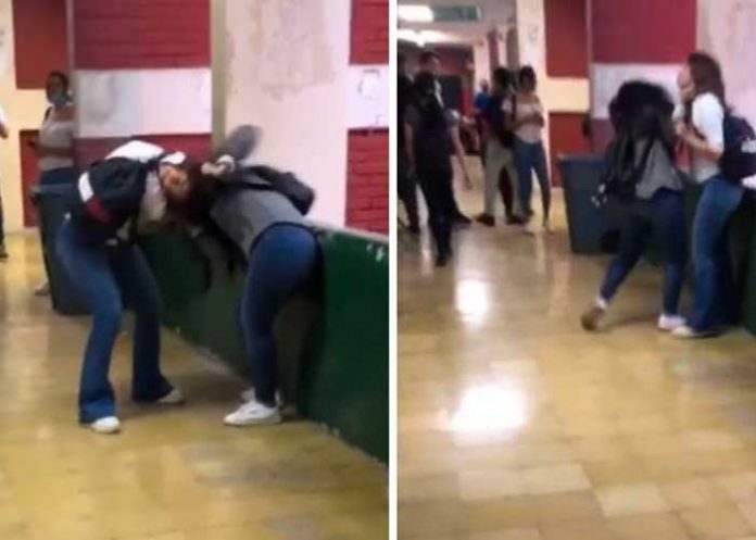 Chicas se van a los golpes dentro de Universidad