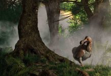 Científicos inician proyecto para resucitar al pájaro dodo