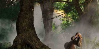 Científicos inician proyecto para resucitar al pájaro dodo
