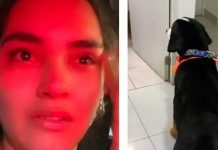 Mujer llora de impotencia al ver que dejaron «chomporoco» a su perro (video) Llora desconsolada al ver que le cortaron mal el pelo a su perro