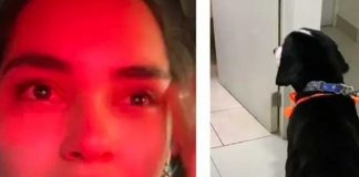 Llora desconsolada al ver que le cortaron mal el pelo a su perro