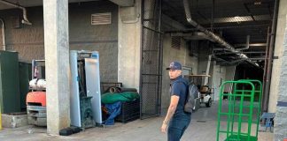 jonathan, loáisiga, béisbol, grandes, ligas, yankees,