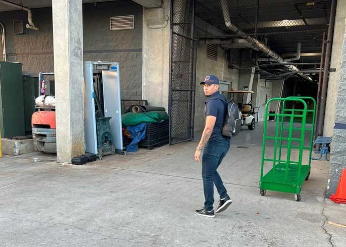 Jonathan jonathan, loáisiga, béisbol, grandes, ligas, yankees,