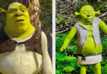¿Lo quieren para que los defienda? Roban enorme estatua del ogro verde Shrek Roban una enorme estatua del ogro verde Shrek